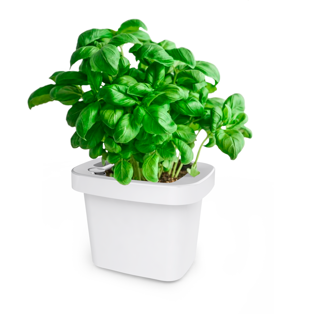 Self watering indoor EMgrow pots | 9 cm