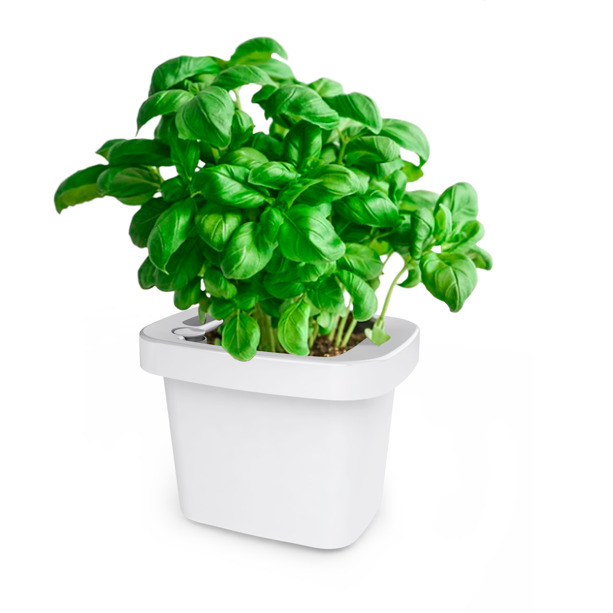 Self watering indoor EMgrow pots | 9 cm